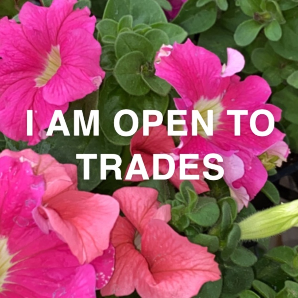 REASONABLE TRADES WILL BE ACCEPTED